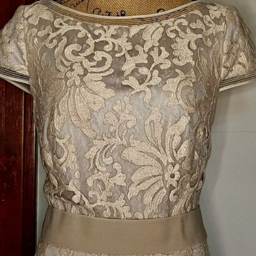 TADASHI SHOJI GOLDEN BEIGE FLORAL LACE OVERLAY DRESS SIZE 10